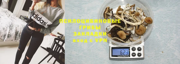 ешки Арсеньев
