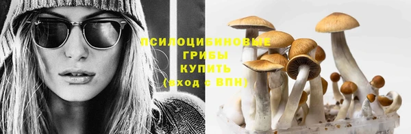 МДПВ Баксан