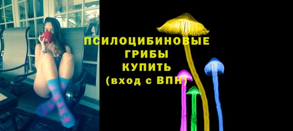 бошки Балахна