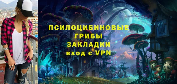 ешки Арсеньев