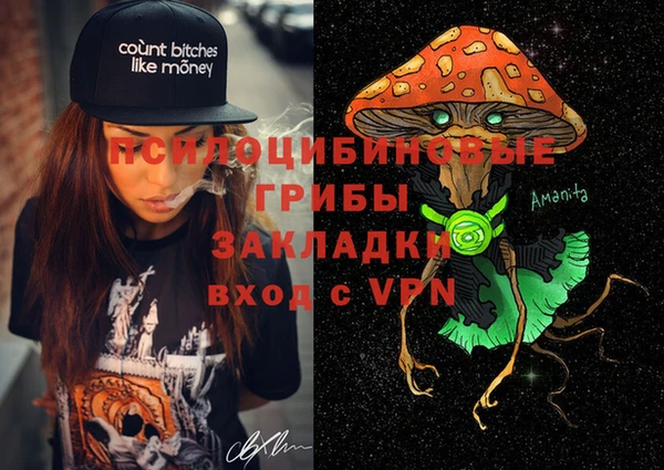 гидра Аркадак