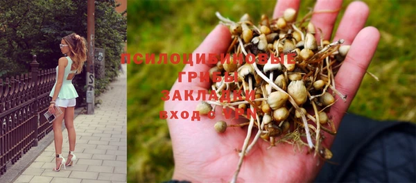 дурь Армянск